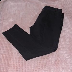 Size 6p Loft dress pants